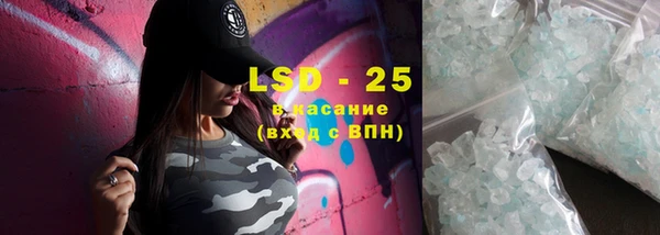 шишки Абаза
