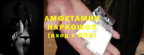 шишки Абаза