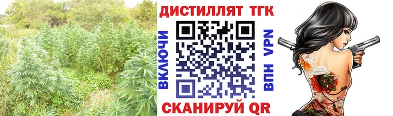 shop состав  ссылка на мегу зеркало  Усмань  ТГК вейп с тгк 