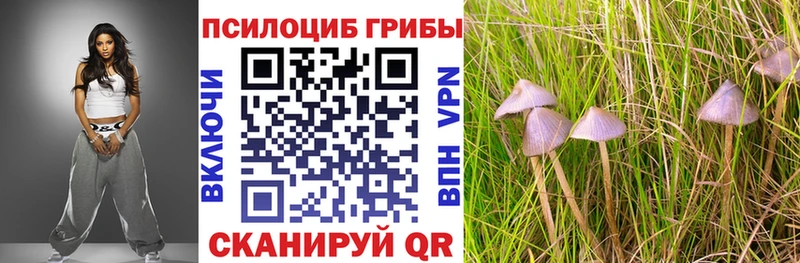 Псилоцибиновые грибы GOLDEN TEACHER  Усмань 